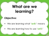 The Prefix 'anti-' - Year 3 and 4 Teaching Resources (slide 2/23)
